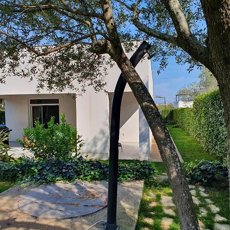 Villa Tea Ζαντάρ Εξωτερικό φωτογραφία